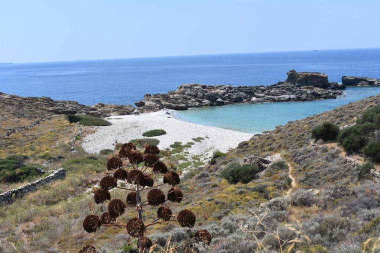 20707015_351992358555733_466640007_o